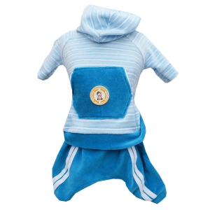 Conjunto Esporte Listrado Azul
